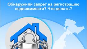 Чем опасен запрет на регистрационные действия в ВкусВилл