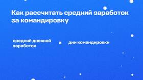 Что такое оплачиваемый день в ВкусВилл