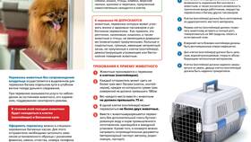 Как добавить собаку в билет РЖД в ВкусВилл