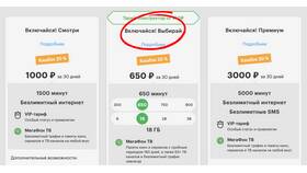 Как подключить подписку на услуги МегаФона в ВкусВилл