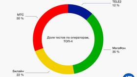 Как работает услуга 