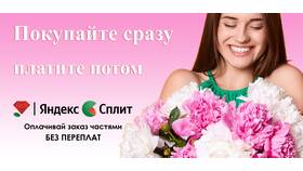 Как работает Яндекс Сплит: оплата частями в ВкусВилл
