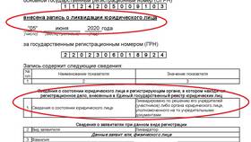 Как узнать дату ликвидации ООО в ВкусВилл