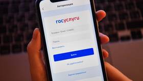 Почему на Госуслугах отображается меньший стаж работы в ВкусВилл