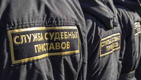 Почему пристав закрыл ИП по алиментам в ВкусВилл