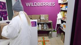 Почему Wildberries запрашивает доступ к Госуслугам в ВкусВилл