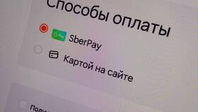 Причины отсутствия акций в Додо в ВкусВилл
