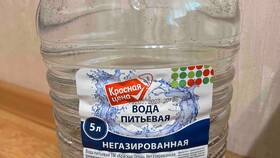 Стоимость газированной воды в магазинах Пятерочка в ВкусВилл
