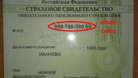 Трудовой стаж страховой: что это и зачем он нужен