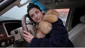 Указанный автомобиль принадлежит продавцу: что писать в ВкусВилл