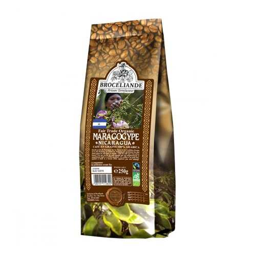 Кофе Broceliande Maragogype Nicaragua в зернах 250 г в ВкусВилл