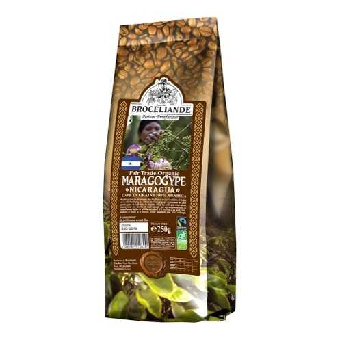 Кофе в зернах Broceliande maragogype Nicaragua броселианд марагоджип Никарагуа 250 г в ВкусВилл