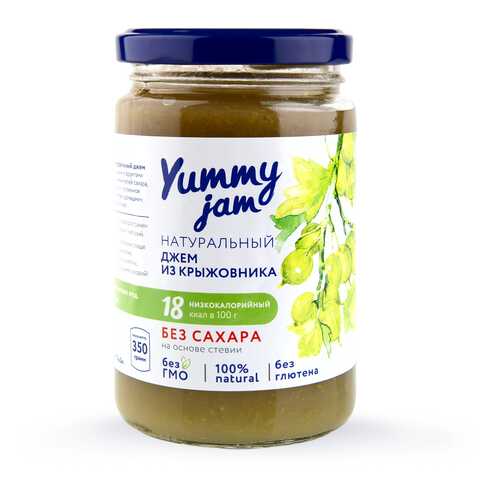 Джем Yummy jam из крыжовника без сахара 350 г в ВкусВилл