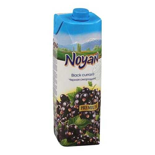 Черная смородина-виноград нектар Noyan premium 1 л в ВкусВилл
